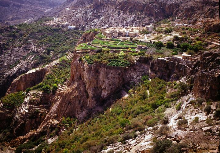 A village on the cliff edge above green farming terraces on Jebel Akhdar