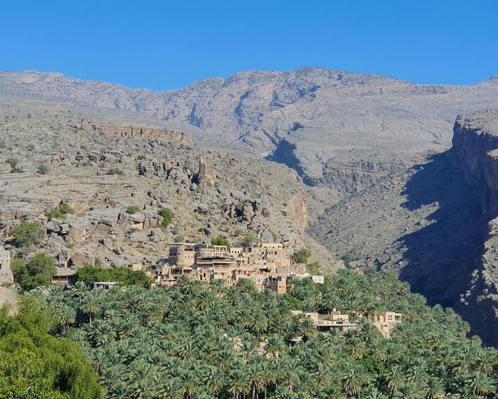 Mud-brick houses of Misfat Al Abriyeen above a palm oasis, with mountains behind