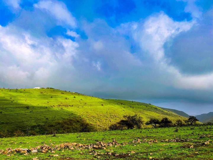 Bright green hills under monsoon clouds near Salalah during the khareef