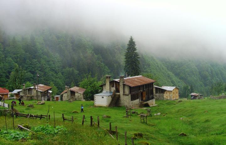 Wooden houses on the green meadow of Ayder plateau with mist in the forest, Rize