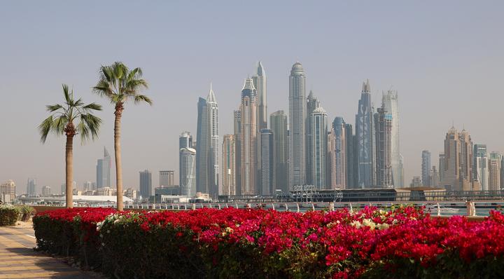 The towers of Dubai Marina behind a hedge of bougainvillea